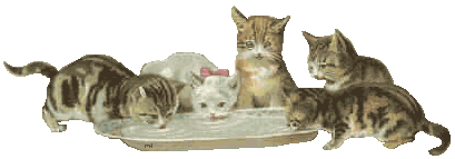 mom and babies